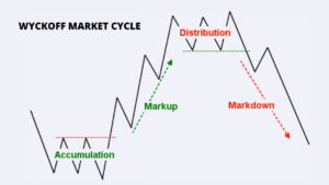 Stages Of Stock Market Cycle - The Prolific Trader